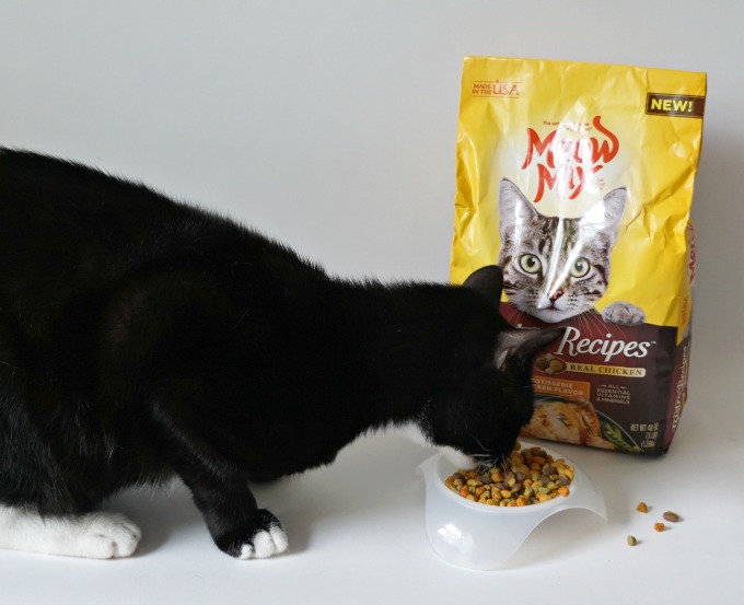 Meow Mix Bistro Recipes Dry Cat Food
