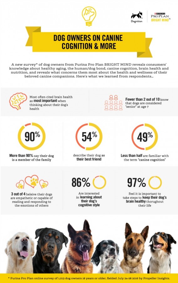 brightminds_infographic_081716