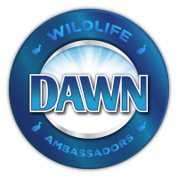 dawn-ambassadors-logo_8-26-2