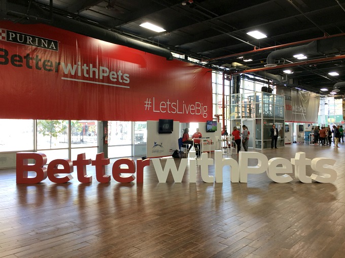 Purina's Better With Pets Summit 2016 #LetsLiveBig