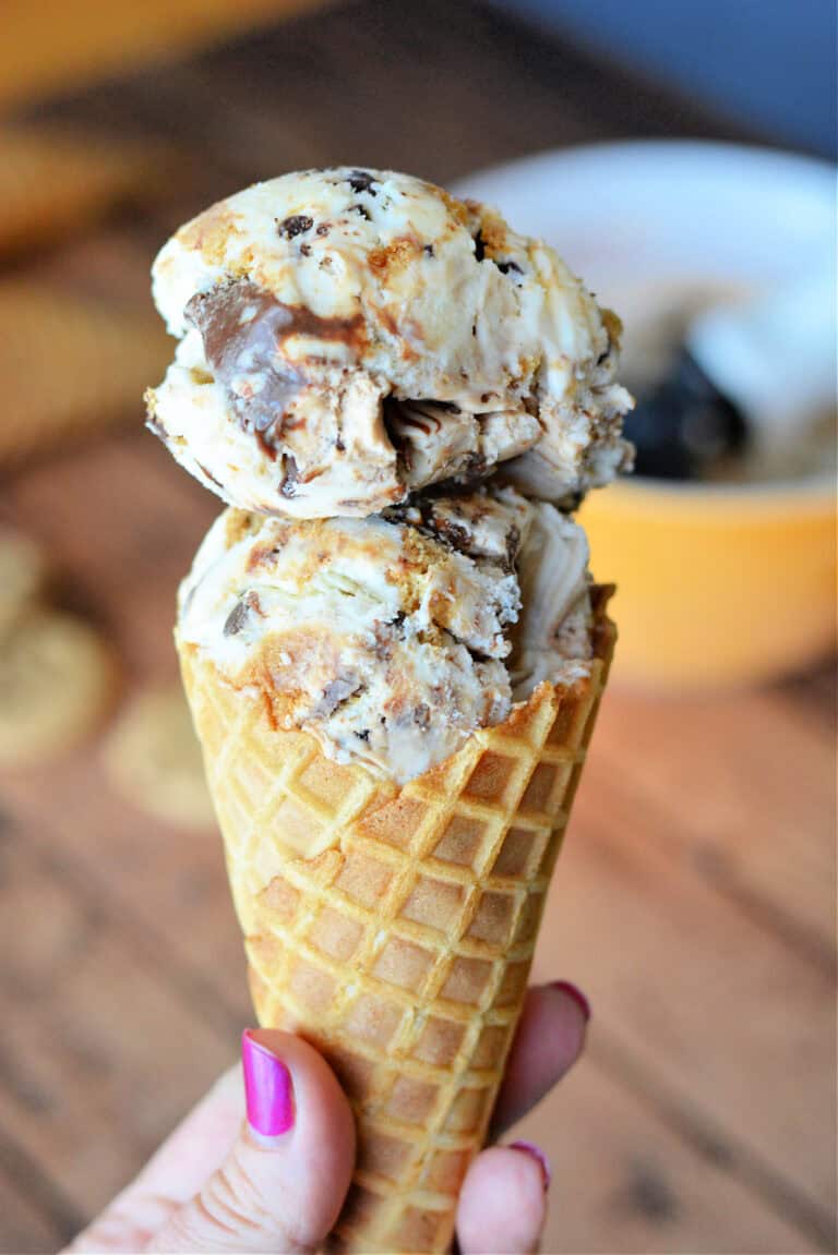 Chocolate Chip Cookie No Churn Ice Cream- The Rebel Chick