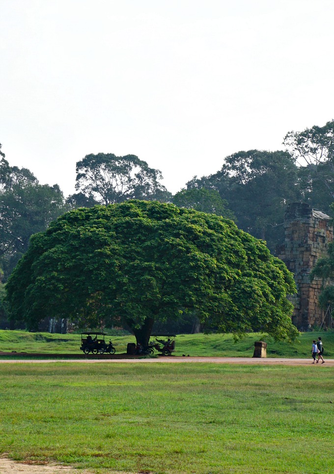 A Walk Through Living History: Photos Of Angkor Archaeological Park