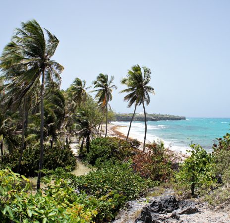 Exploring the Ruins of Sam Lords Castle in Barbados