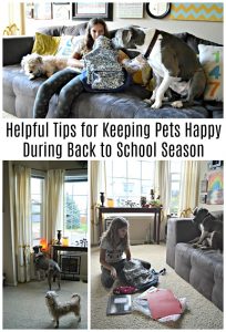 Helpful Tips for Keeping Pets Happy During Back to School Season #PurinaPartner