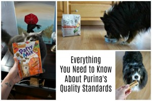 Everything You Need to Know About Purina's Quality Standards