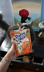 Friskies Party Mix cat treats