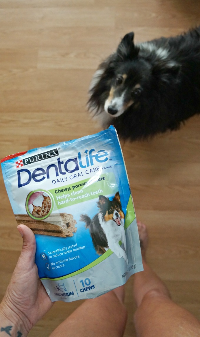 Purina DentalLife daily oral care dog chews
