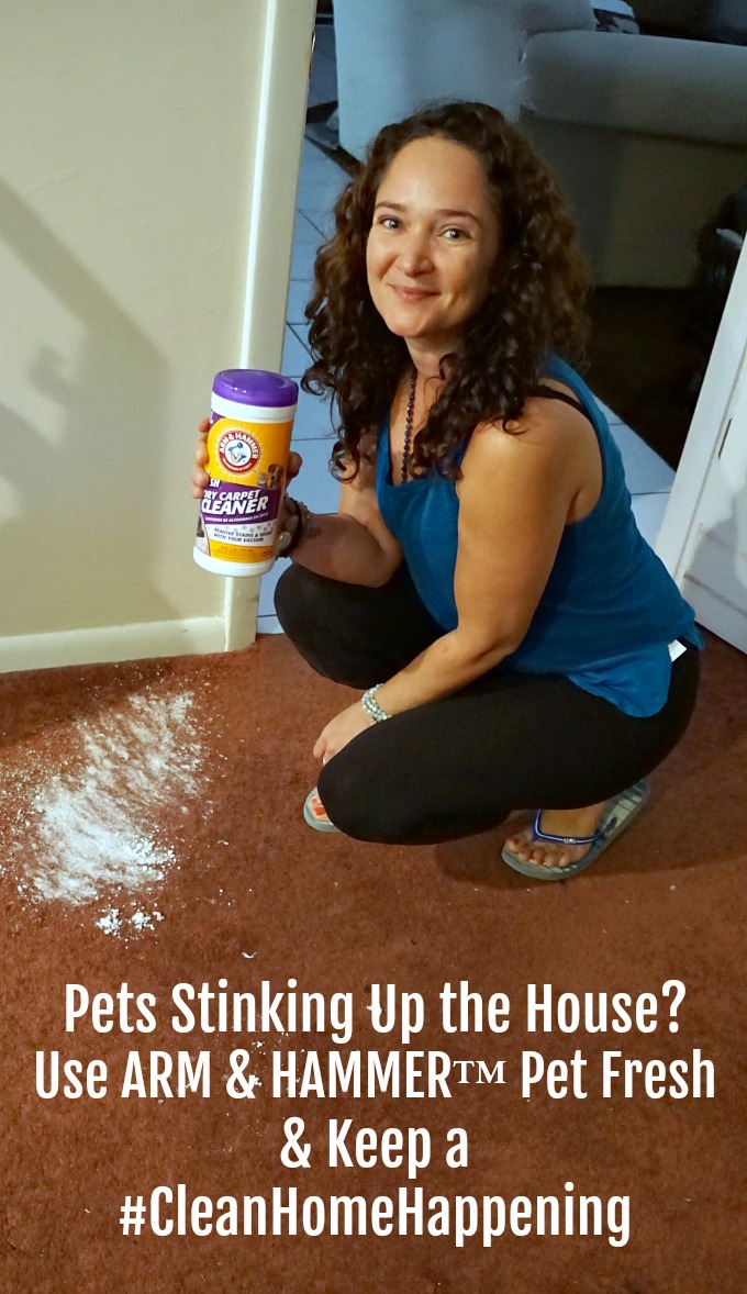 Use ARM & HAMMER™ Pet Fresh & Keep a #CleanHomeHappening