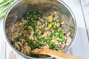 Instant Pot Vegetable Barley Vegan Risotto Recipe