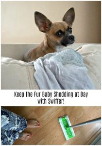Keep the Fur Baby Shedding at Bay with Swiffer! #ShedHappens