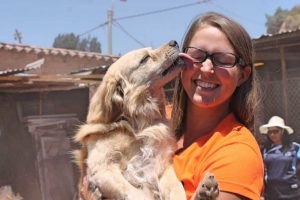 Volunteer to Save Dogs in Peru
