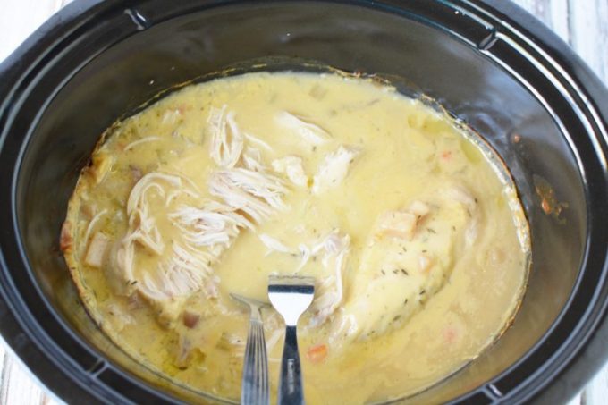 Slow Cooker Creamy Chicken & Noodles Recipe