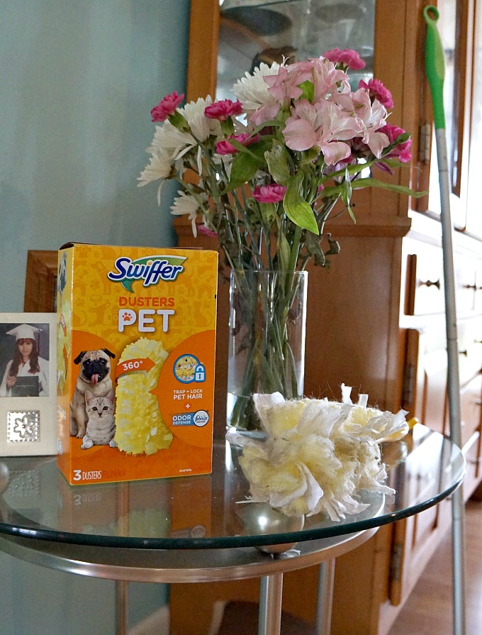 5 Tips For Loving A New Furry Family Member #DontSweatYourPet #SwifferFanatic