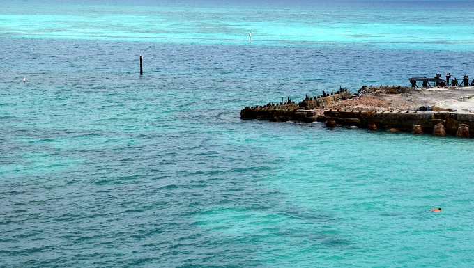 Why You Should Visit the Dry Tortugas in Key West 11