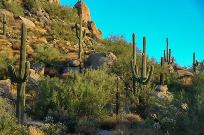 Popular Things To Do In Scottsdale
