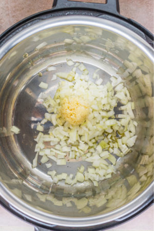 Instant Pot Chicken Gnocchi Soup Recipe 1
