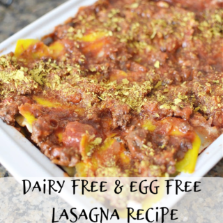 Dairy Free Egg Free Lasagna Recipe