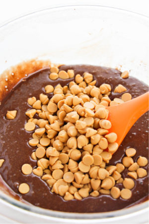Homemade Peanut Butter Brownies Recipe