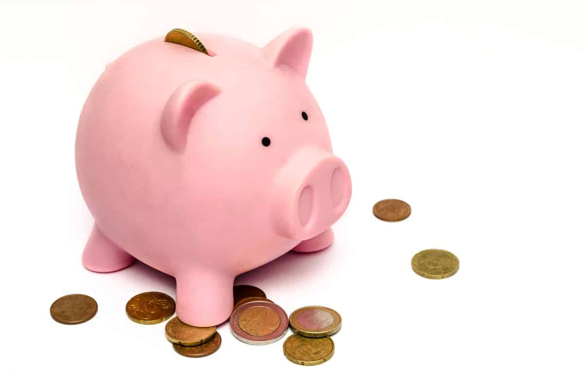 savings piggy bank with coins