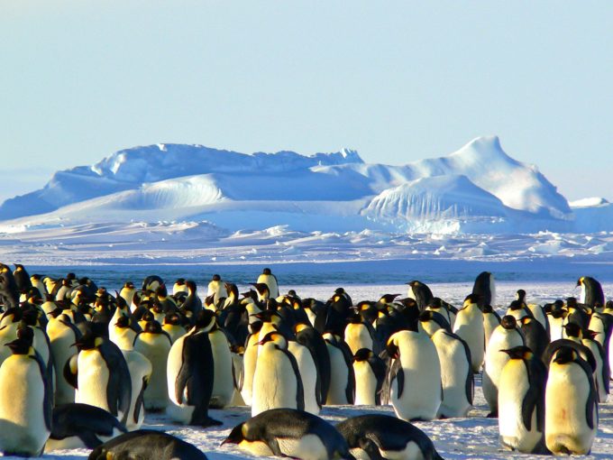 5 Reasons Why the Antarctic is the Ultimate Vacation Spot 
