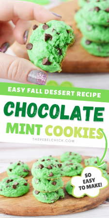Better than Betty Crocker Mint Chocolate Chip Cookies Recipe