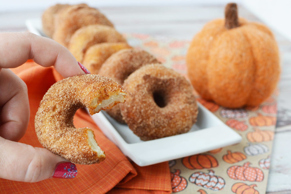 Pumpkin Spice Donuts Recipe for Breakfast & Brunch