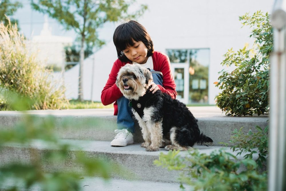 Why Owning A Dog Benefits Children