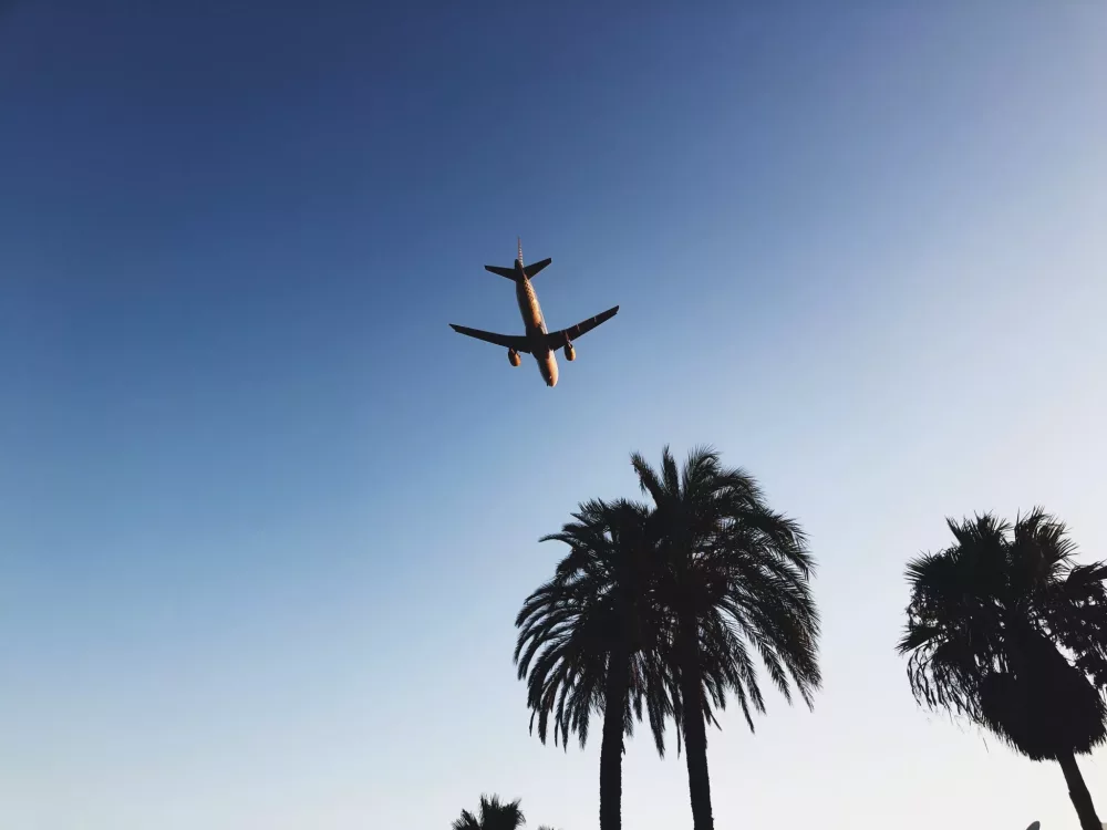 plane flying over palm trees