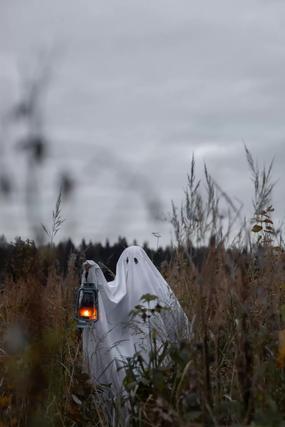 ghost in a field