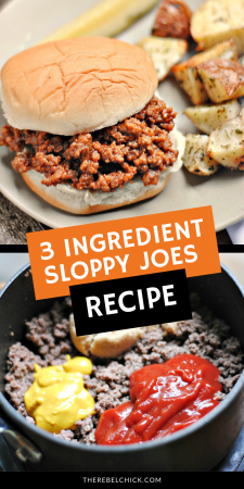 Easy Sloppy Joe Recipe 3 Ingredients Only!