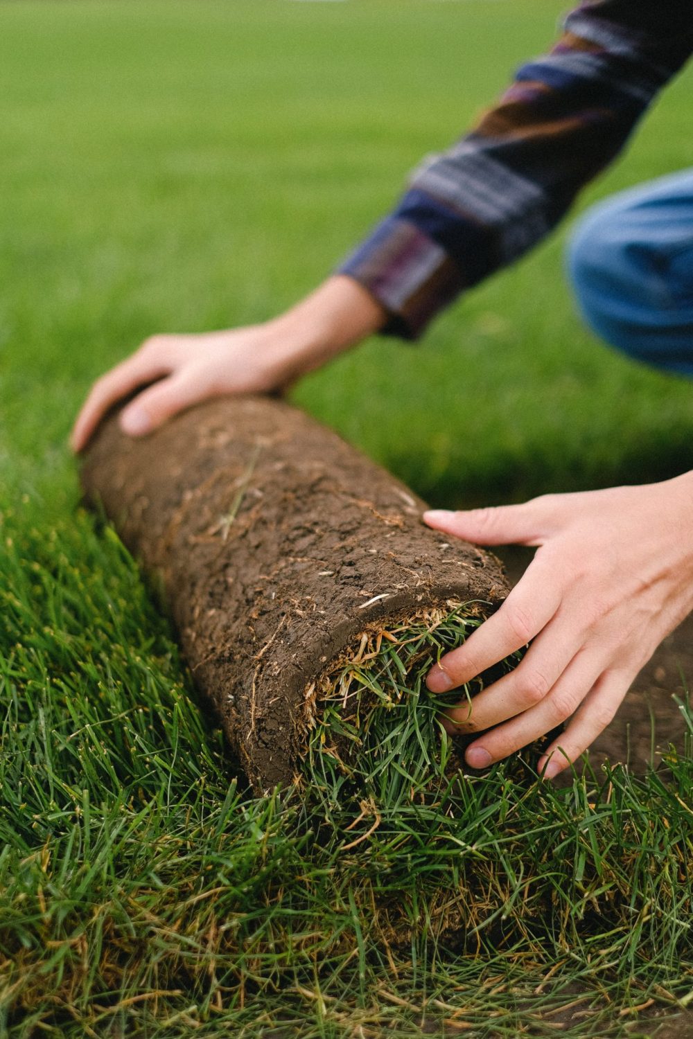Why Should I Core Aerate my Lawn?