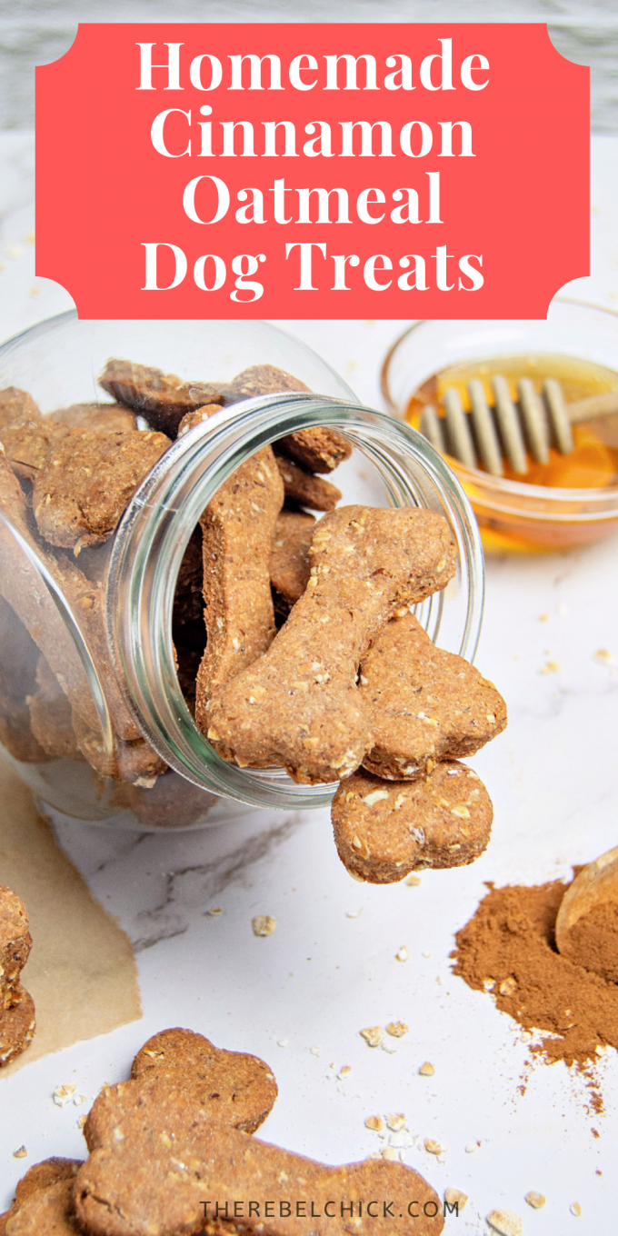 Homemade Cinnamon Oatmeal Dog Treats Recipe