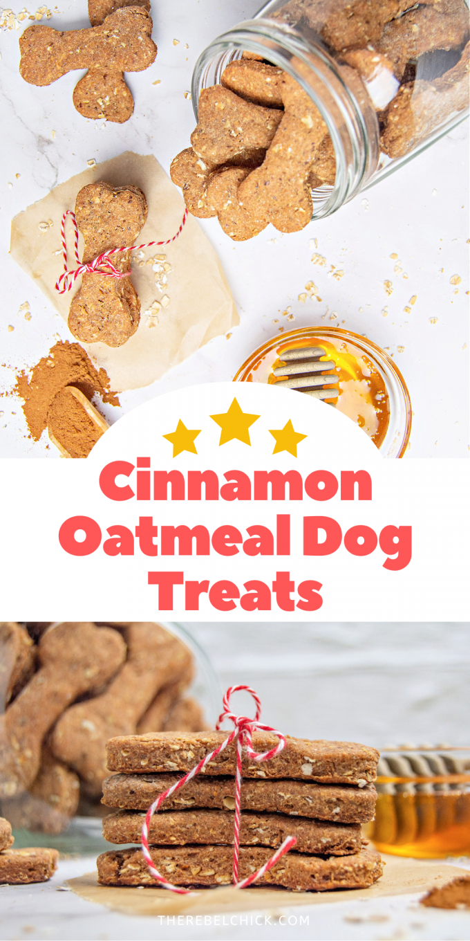 Homemade Cinnamon Oatmeal Dog Treats Recipe