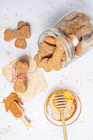 Homemade Cinnamon Oatmeal Dog Treats Recipe