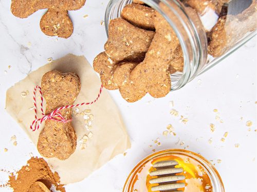 Oatmeal dog outlet biscuits