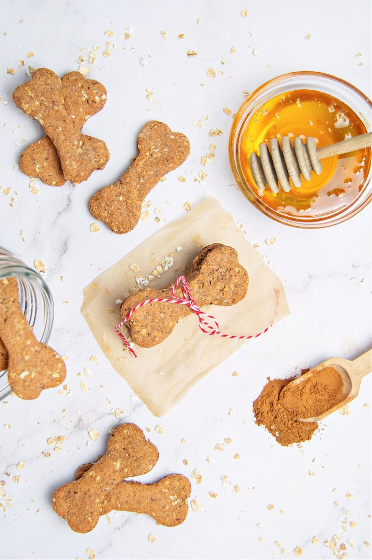 Homemade Cinnamon Oatmeal Dog Treats Recipe