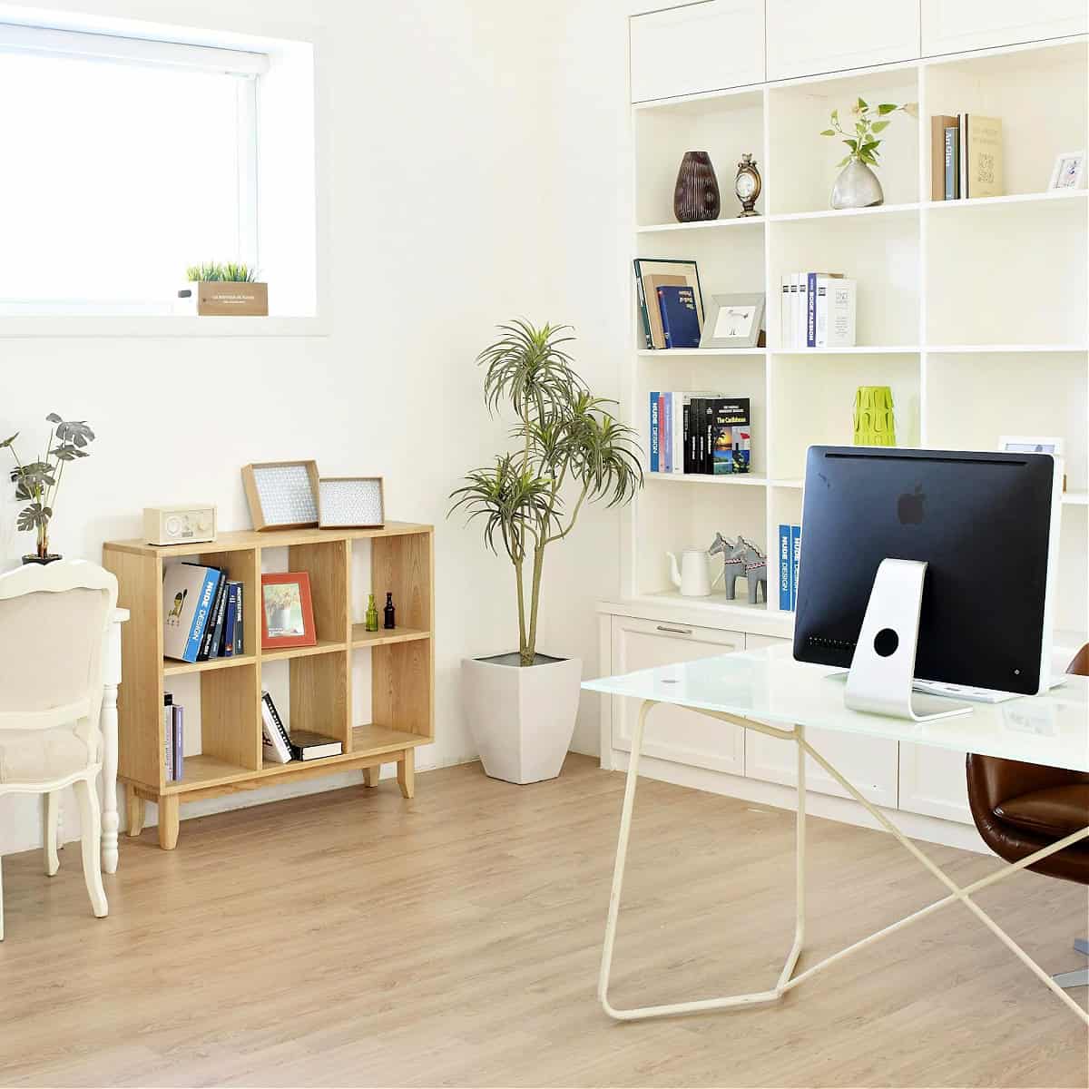shelves