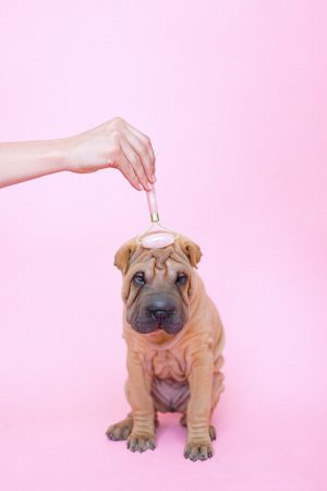 How Wrinkles Form and How To Prevent Them
