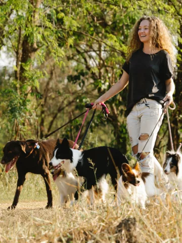 lady walking dogs