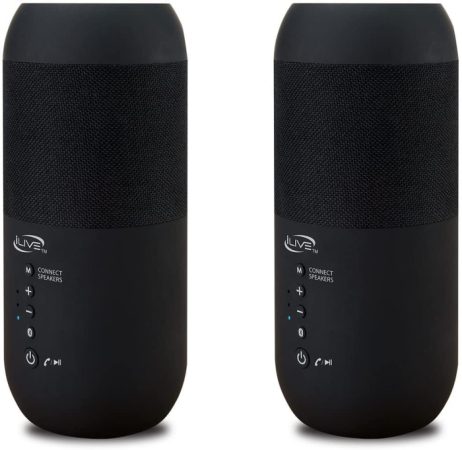 iLive Indoor-Outdoor Dual Bluetooth Speakers