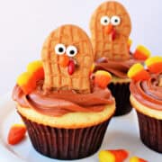 Turkey Cupcakes