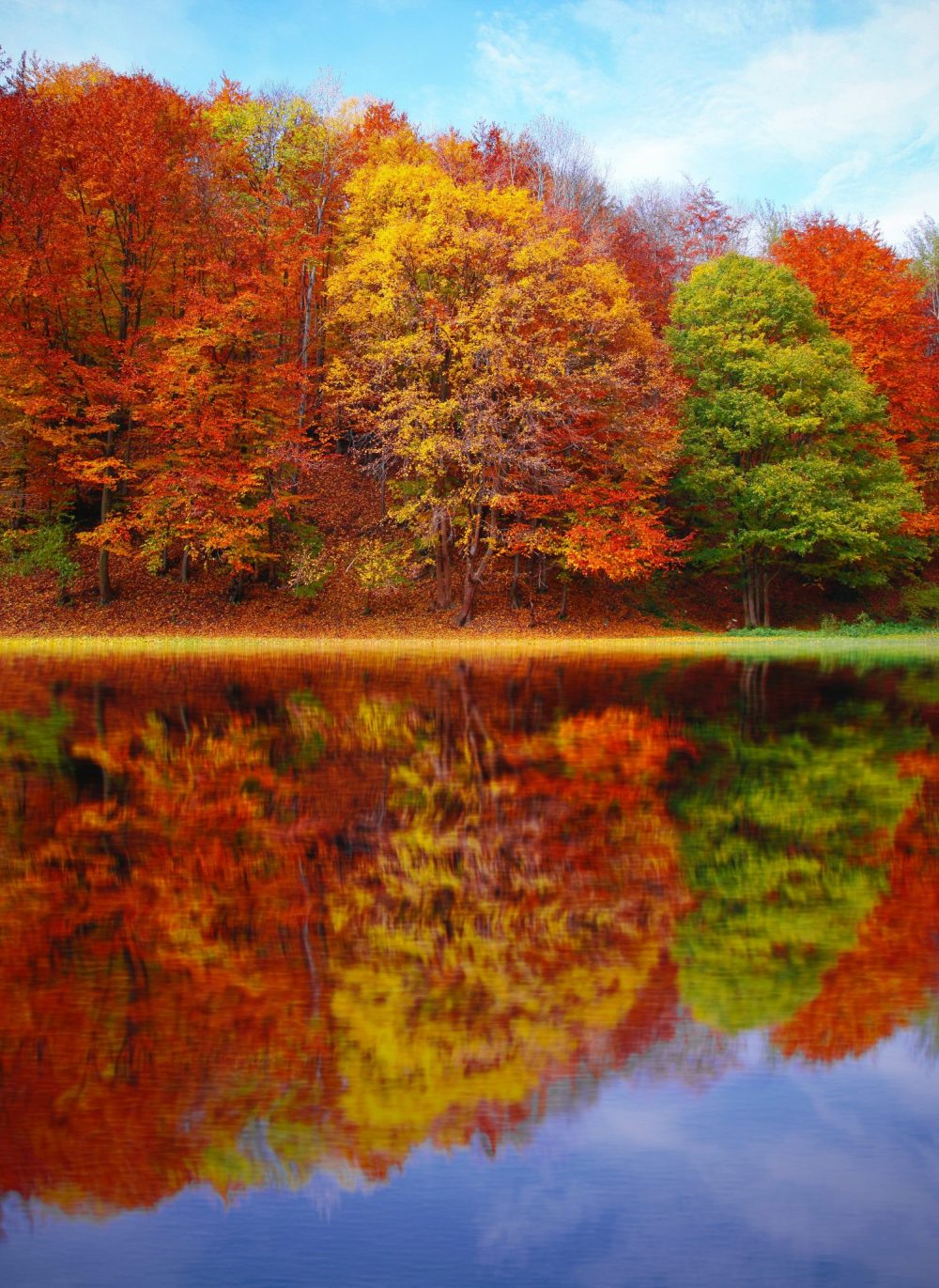 The Best Places To See Fall Foliage In The Mid-West And West