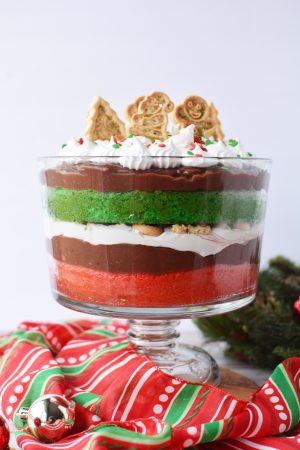 How to Make a Christmas Trifle Recipe Tutorial