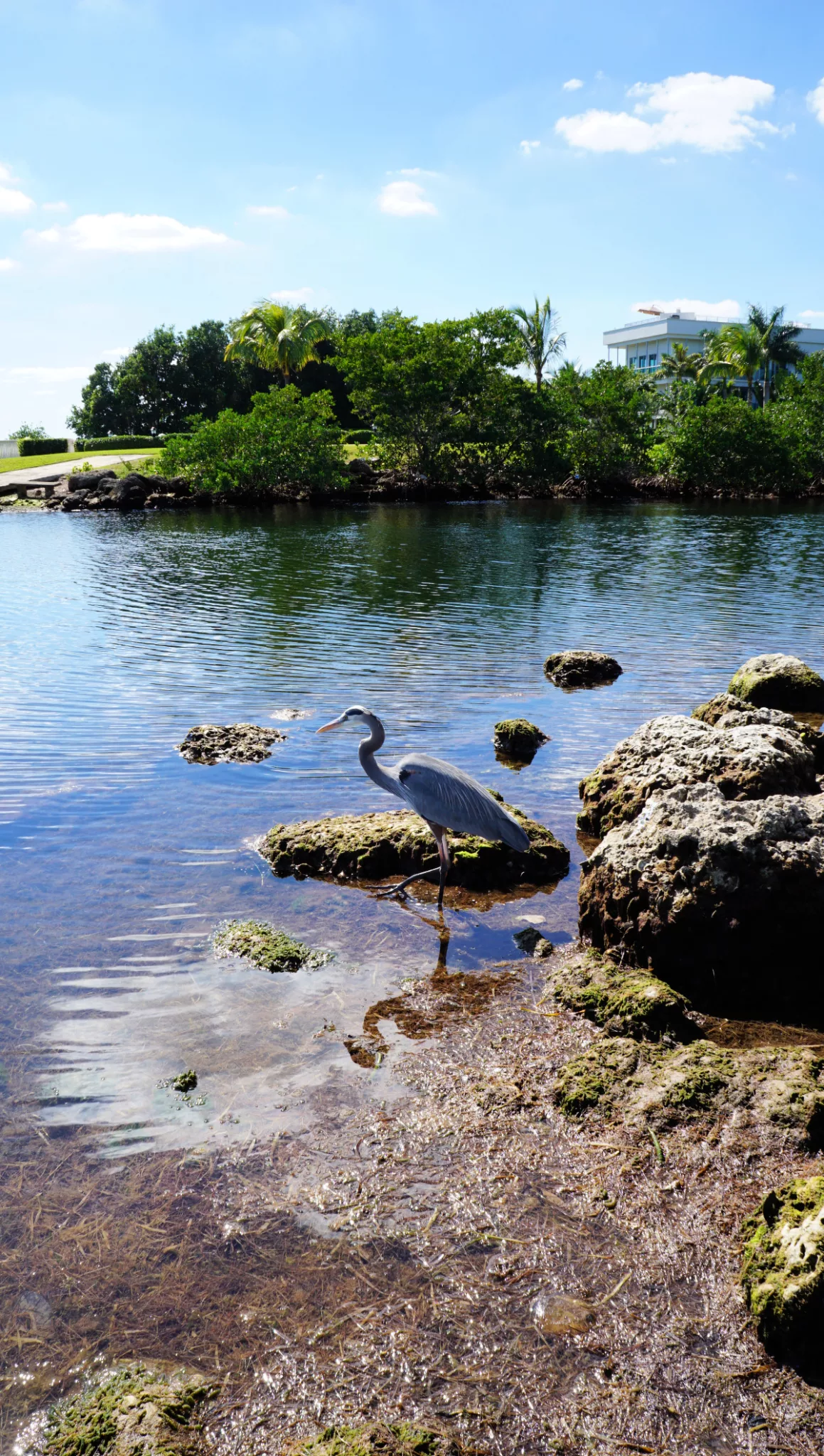 Nature Things to Do in Miami Florida