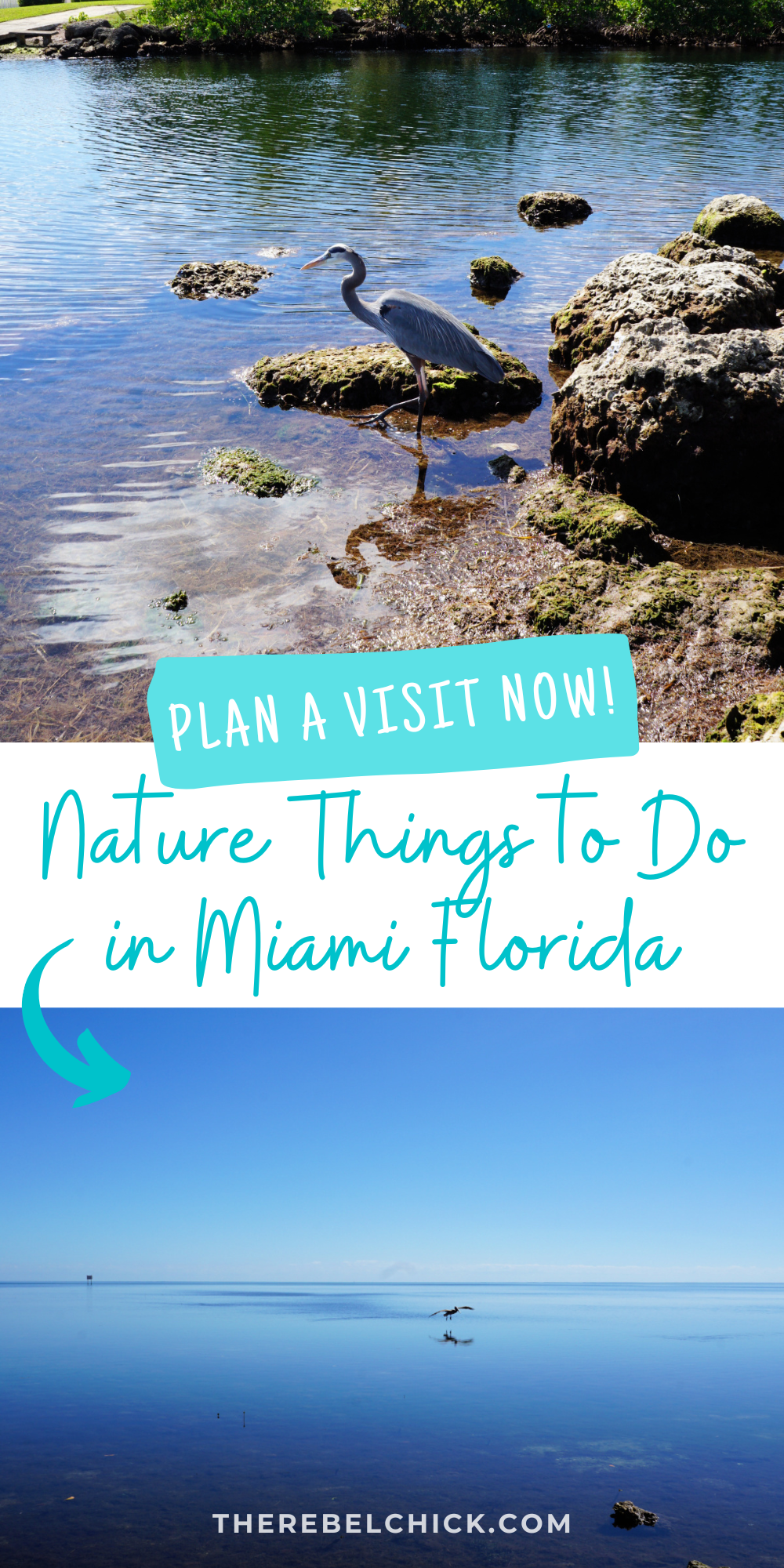 Nature Things to Do in Miami Florida