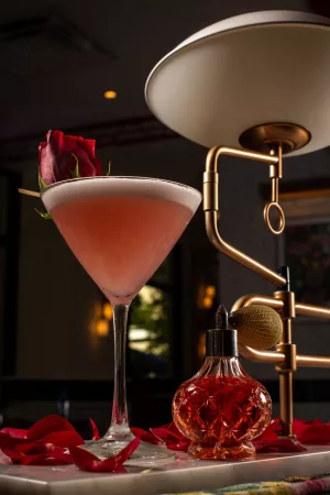 Pink cocktail in a martini glass