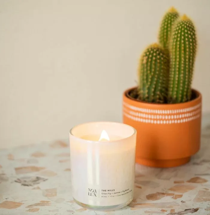 Noa Lux candle and a potted cactus