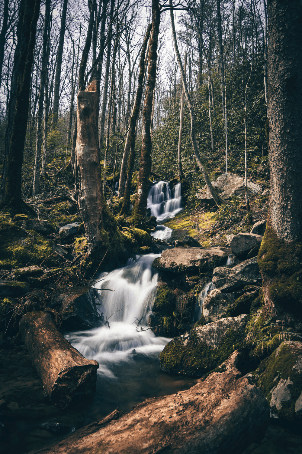 waterfall in the Smoky Mountains