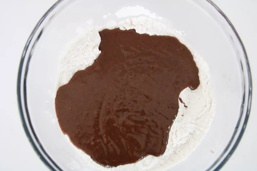 flour and chocolate pudding mix in a bowl