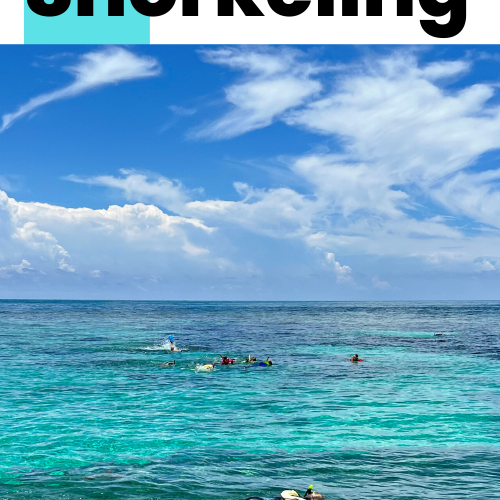 Key Largo Florida Snorkeling